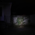 outdoor on medium at 17 ft