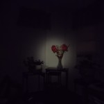 Olight S15 on low at 18 ft