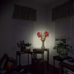 Olight S15 on medium at 18 ft