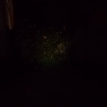 Olight S15 on low at 13 ft