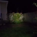 Olight S15 on medium at 18 ft