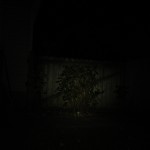 Nitecore P16 low mode at 20 ft