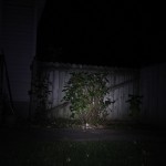 Nitecore P16 on medium at 20 ft