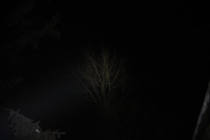 Tree top at 200 ft +