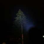 Zoomed on tree; 200+ft