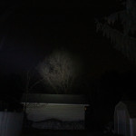 turbo - tree at 100ft