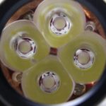 Nichia 219B LED's
