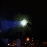 On the Road X6 on a tree