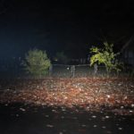 Astrolux S43 on turbo