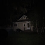 Wuben TO46R on medium