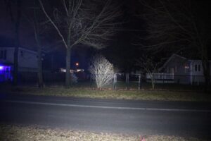 Nitecore EDC33 - Shield